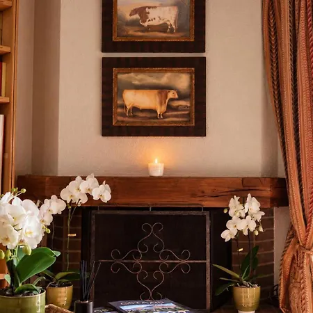 Cozy With Mountain Scenery Appartement