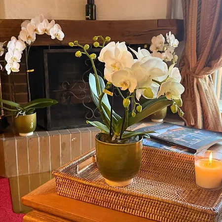 Appartement Cozy With Mountain Scenery Gstaad